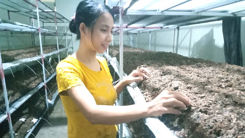 Ảnh minh họa