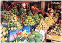 http://www.hoilhpn.org.vn/images_upload/small_2092.jpg